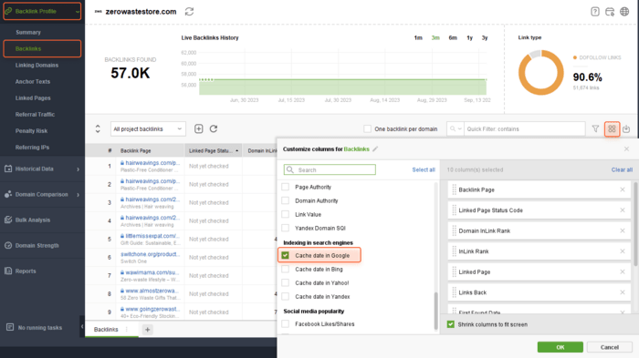 Enable the Cache Date in Google column