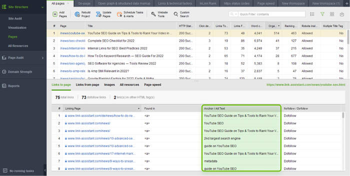 auditing internal anchor texts