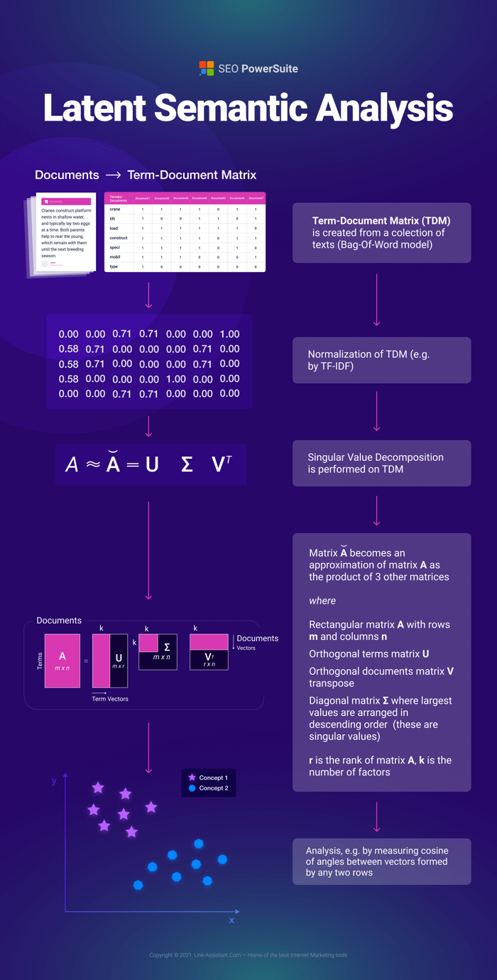 LSI Description Infographic